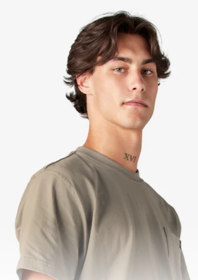 Dickies Heavyweight Short Sleeve Pocket T-Shirt - Desert Sand (DS)) #WS450