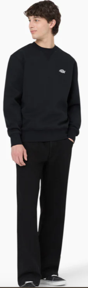 Dickies Skateboarding Wingville Loose Fit Jeans