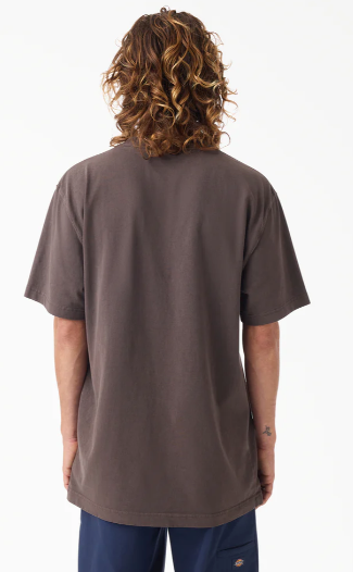 Dickies Worn In Heavyweight Pocket T-Shirt