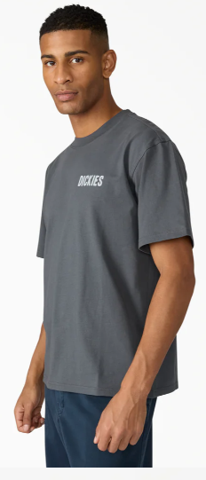 Dickies Wolfhurst Short Sleeve Graphic T-Shirt