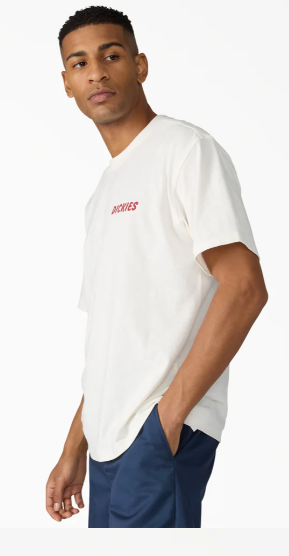 Dickies Dry Ridge Graphic T-Shirt