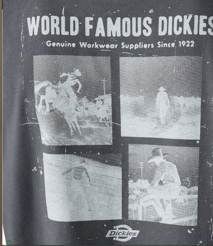 Dickies Wolfhurst Short Sleeve Graphic T-Shirt