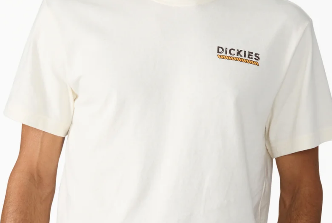 Dickies Wetlands Short Sleeve Graphic T-Shirt