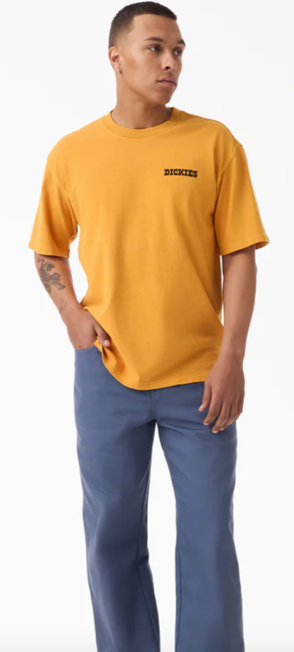Dickies Wellsville Baggy Tapered Twill Pant