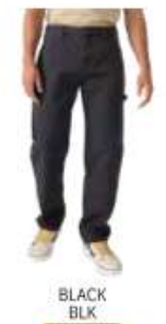 Dickies Worn In Relaxed Carpenter Duck Pant - A88NC