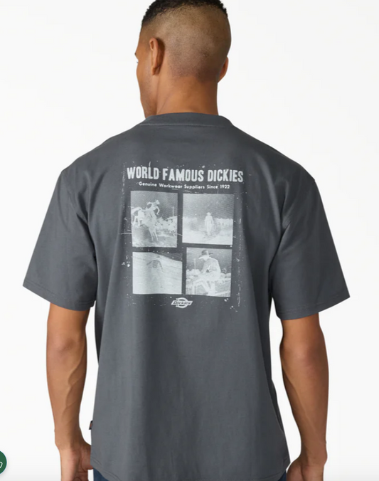 Dickies Wolfhurst Short Sleeve Graphic T-Shirt