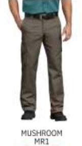 Dickies Men's FLEX Regular Fit Twill Cargo Pant - DWP595